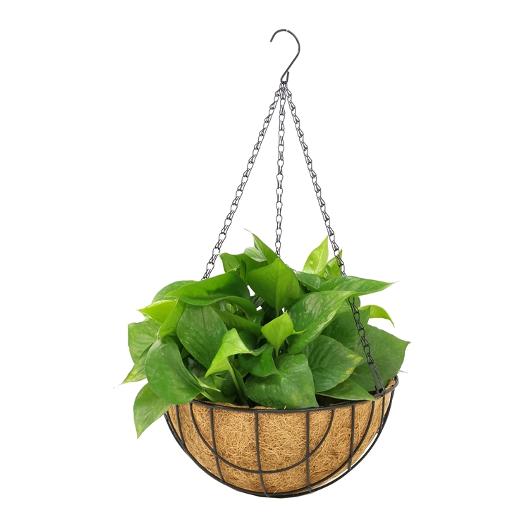 Home Decor Hanging Plant Pots Flower Pots & Planters Fresh Coconuts Hanging Flower Pot 12 Inch Hanging Baskets