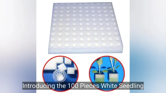 100 Stück weißer Sämlingsschwamm, erdlos, hydroponisches Gemüse, Anbaupflanze, Gärtnerei, Töpfe, Sämlinge, Klonkragen, Garten